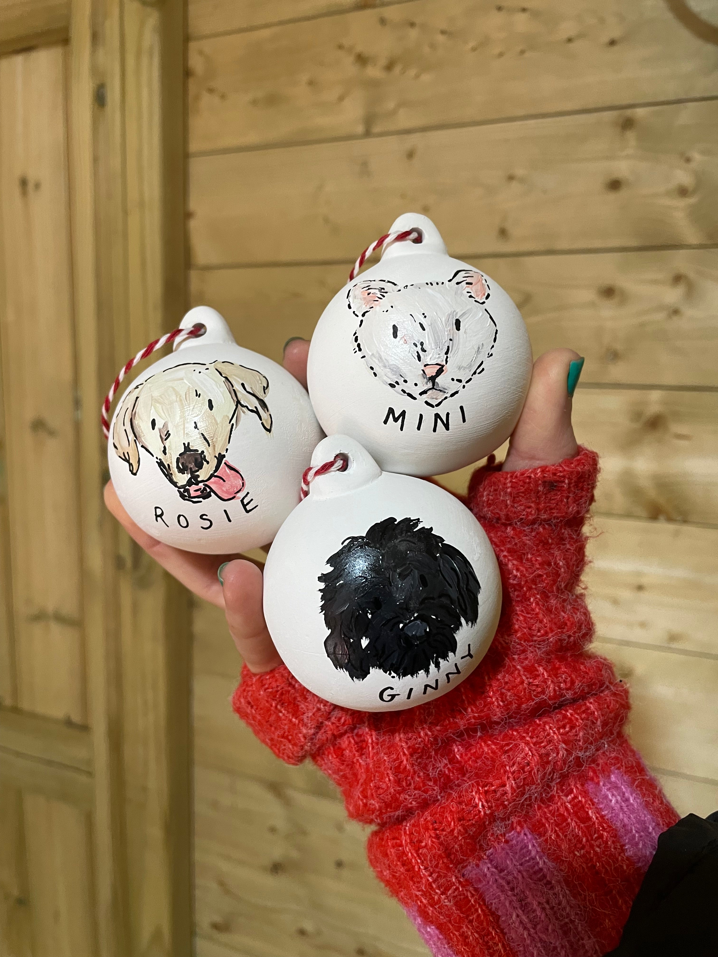 Personalised Pet portrait bauble Christmas decoration