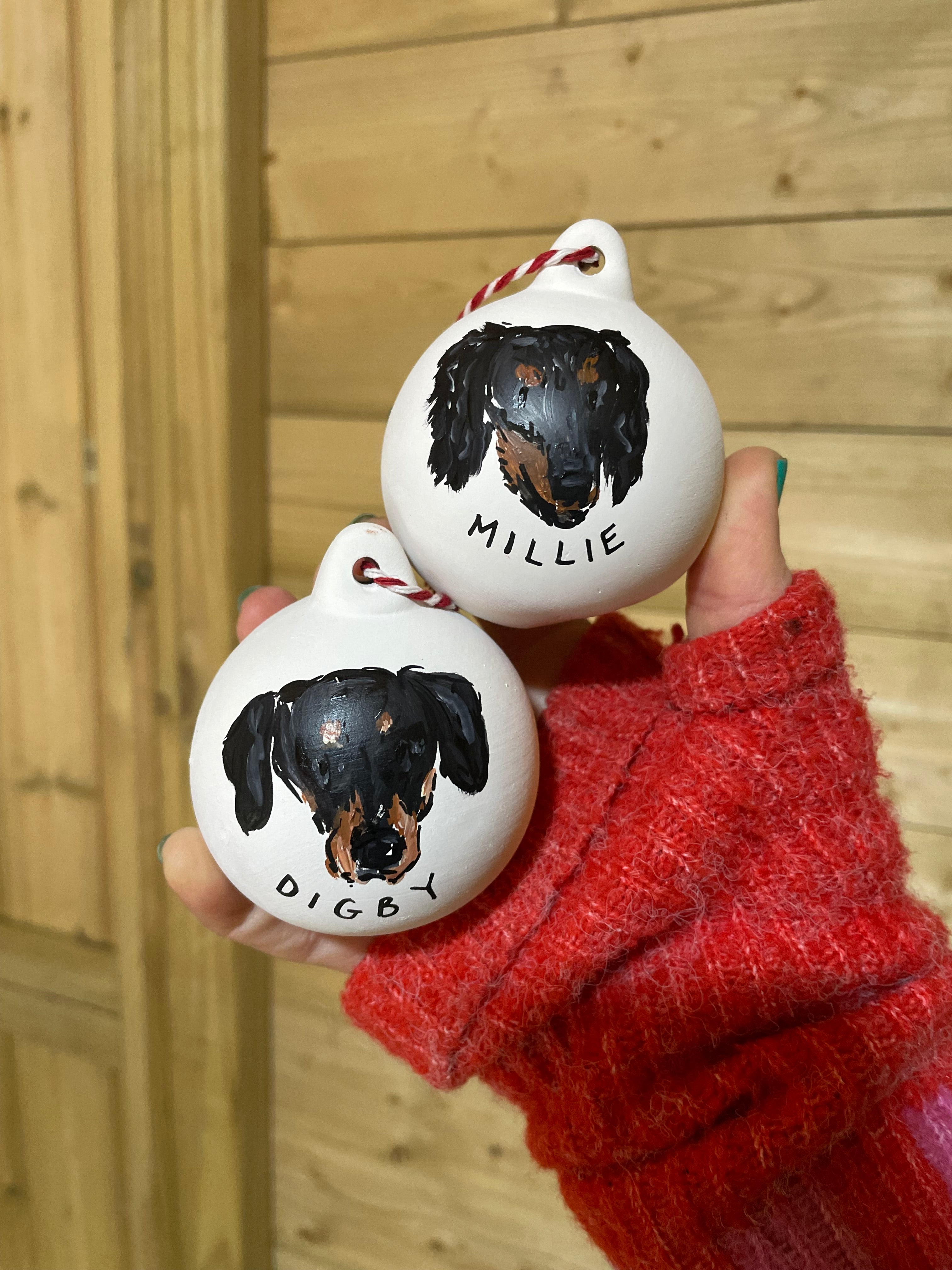 Personalised Pet portrait bauble Christmas decoration