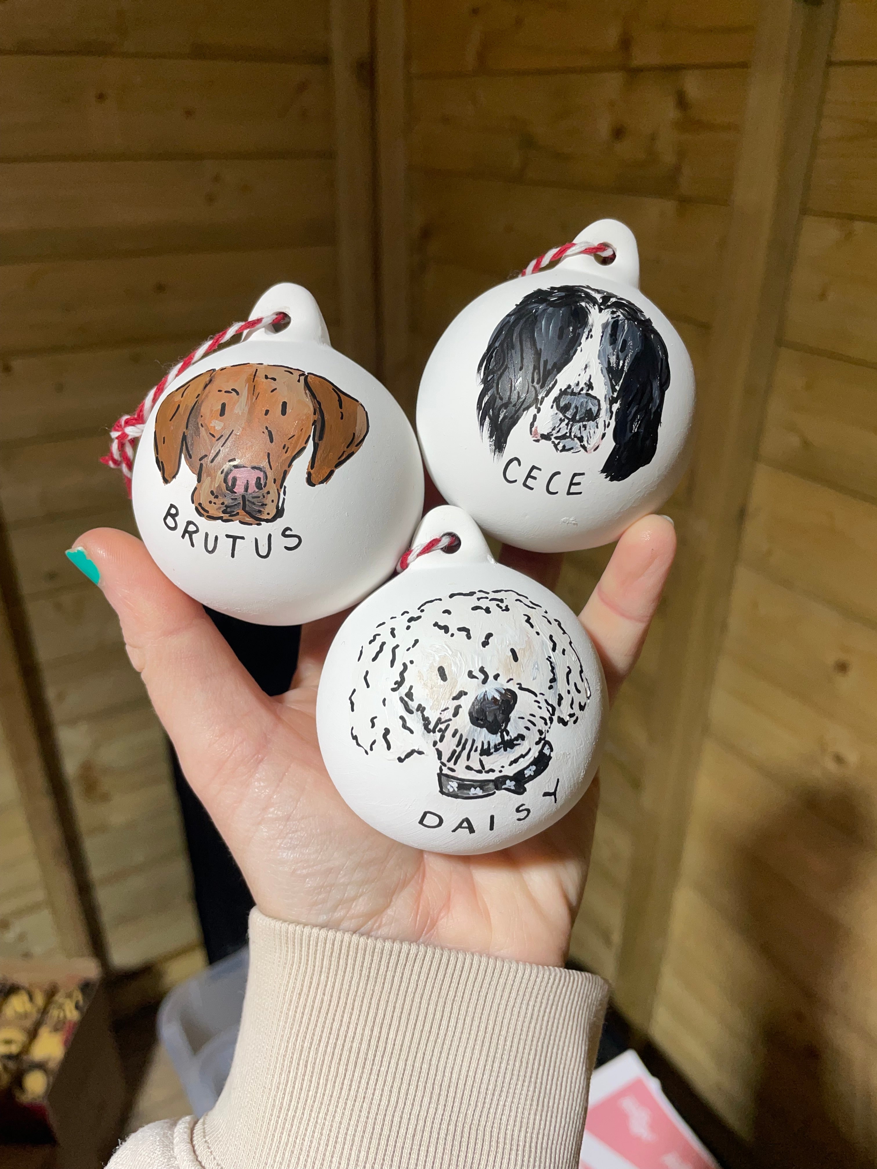 Personalised Pet portrait bauble Christmas decoration